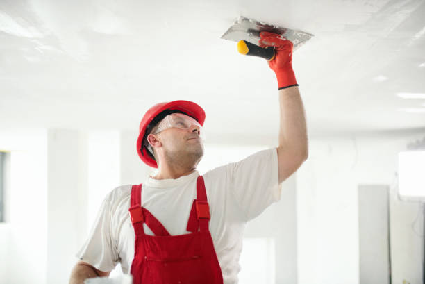 Reliable Fremont, MI Painting Solutions